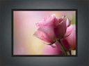 Ver imagem 4 de Quadro Decorativo Flores Rosa Paisagem Natureza Com Moldura Decorações