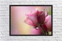 Ver imagem 3 de Quadro Decorativo Flores Rosa Paisagem Natureza Com Moldura Decorações