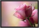 Ver imagem 1 de Quadro Decorativo Flores Rosa Paisagem Natureza Com Moldura Decorações
