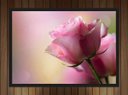 Ver imagem 2 de Quadro Decorativo Flores Rosa Paisagem Natureza Com Moldura Decorações