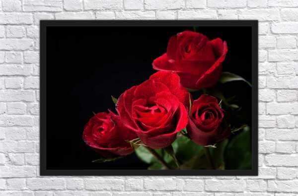 Quadro Decorativo Rosas Vermelhas Paisagem Natureza Com Moldura - 4