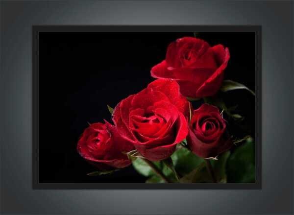 Quadro Decorativo Rosas Vermelhas Paisagem Natureza Com Moldura - 2