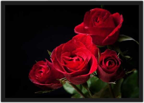 Quadro Decorativo Rosas Vermelhas Paisagem Natureza Com Moldura - 1