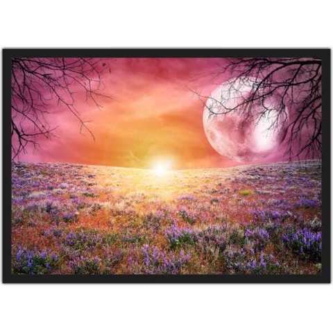 Quadro Decorativo Lua Flores Jardim Paisagem Natureza Com Moldura