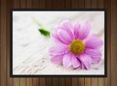 Ver imagem 4 de Quadro Decorativo Flores Rosa Pétalas Paisagem Natureza Com Moldura