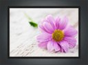 Ver imagem 2 de Quadro Decorativo Flores Rosa Pétalas Paisagem Natureza Com Moldura