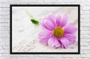 Ver imagem 3 de Quadro Decorativo Flores Rosa Pétalas Paisagem Natureza Com Moldura
