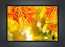 Ver imagem 3 de Quadro Decorativo Flores Amarelas Paisagem Natureza Com Moldura G25