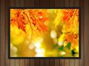 Ver imagem 2 de Quadro Decorativo Flores Amarelas Paisagem Natureza Com Moldura G25