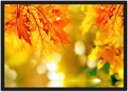 Ver imagem 1 de Quadro Decorativo Flores Amarelas Paisagem Natureza Com Moldura G25
