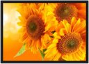 Ver imagem 1 de Quadro Decorativo Flores Girassóis Paisagem Natureza Com Moldura Salas Cozinhas