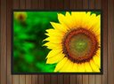 Ver imagem 4 de Quadro Decorativo Flor Girassol Paisagem Natureza Com Moldura Salas Cozinhas G06