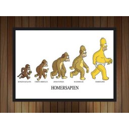 Quadro Decorativo Evolução Da Espécie Homer Simpsons Desenho Salas Quartos Decorações Com Moldura - 4
