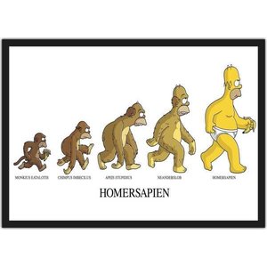 Quadro Decorativo Evolução Da Espécie Homer Simpsons Desenho Salas Quartos Decorações Com Moldura