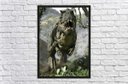 Ver imagem 3 de Quadro Decorativo Dinossauro Salas Quartos Decorações Com Moldura G01