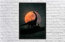 Ver imagem 3 de Quadro Decorativo Dinossauro Lua Salas Quartos Decorações Com Moldura G02
