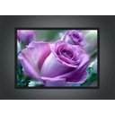 Ver imagem 3 de Quadro Decorativo Flores Rosa Paisagem Natureza Com Moldura G01