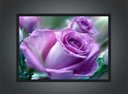 Ver imagem 3 de Quadro Decorativo Flores Rosa Paisagem Natureza Com Moldura G01