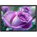 Ver imagem 1 de Quadro Decorativo Flores Rosa Paisagem Natureza Com Moldura G01
