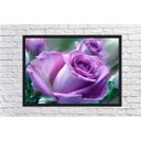 Ver imagem 4 de Quadro Decorativo Flores Rosa Paisagem Natureza Com Moldura G01