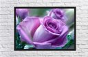 Ver imagem 4 de Quadro Decorativo Flores Rosa Paisagem Natureza Com Moldura G01