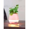 Caixa de Som Bluetooth Formato Vaso Inteligente para Plantas Rosa com Led - 3