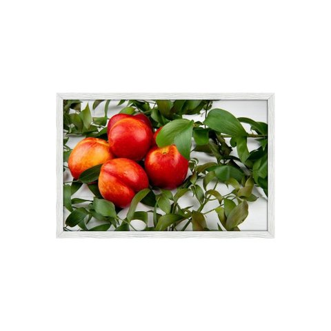 Quadro Decorativo Pêssego: Mod. 0411 Collor-ink Mod.0411 50 X 75cm Branco