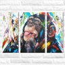 Kit 3 Quadros Decorativos Macaco Moderno Colorido - 2