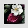 Quadro Camélia Rosa Ii Tela No Chassi 40X40Cm - 1