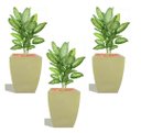 Ver imagem 1 de Kit 3 Vaso Planta 45x35 Moderno Trapézio Polietileno BGPLASTICOS CORES VARIADAS