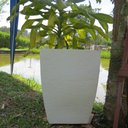 Ver imagem 7 de Kit 3 Vaso Planta 45x35 Moderno Trapézio Polietileno BGPLASTICOS CORES VARIADAS