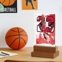 Ver imagem 1 de Abajur e Luminária - Basquete - Nba - Michael Jordan