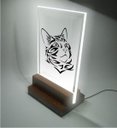 Ver imagem 1 de Abajur e Luminária Infantil Pet - Gato