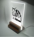 Ver imagem 1 de Abajur e Luminária Infantil Pet - Gato Sonolento
