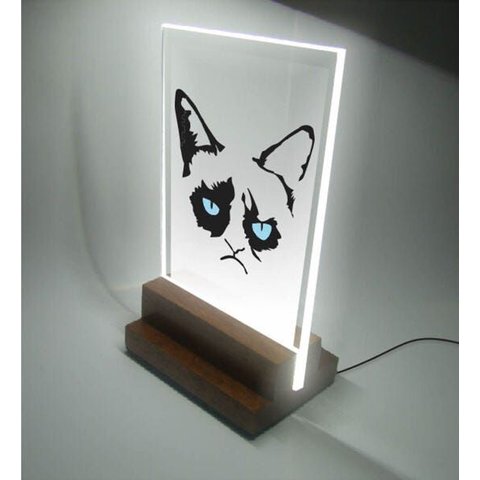 Abajur e Luminária Infantil Pet - Gato Rabugento
