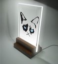 Ver imagem 1 de Abajur e Luminária Infantil Pet - Gato Rabugento