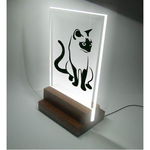 Abajur e Luminária Infantil Pet - Gato