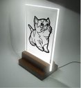 Ver imagem 1 de Abajur e Luminária Infantil Pet - Querido Gatinho