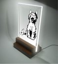 Ver imagem 1 de Abajur e Luminária Infantil Pet - Gatinho com Sono