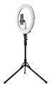 Ver imagem 1 de Luminária Ring Light 18 Polegadas C/ Tripé, Controle Remoto e Encaixe para Smartphone