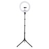 Luminária Ring Light 18 polegadas c/ Tripé, controle remoto e encaixe para Smartphone - 12