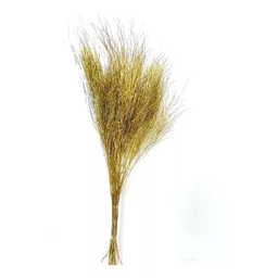 Aspargo Folhagem Desidratado Dourado Decoração Arranjo Lar - 2