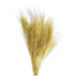 Aspargo Folhagem Desidratado Dourado Decoração Arranjo Lar - 3