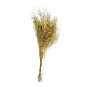 Aspargo Folhagem Desidratado Dourado Decoração Arranjo Lar