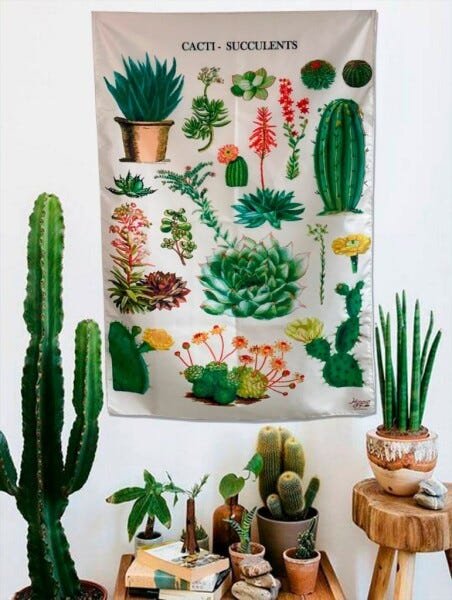 Panô Hippie Cactos e Suculentas - 1