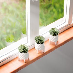 Cachepô Multiuso em Design Inovador- Vaso de Plantas/flor/suculenta/jardim- Vaso Branco/base Branca