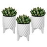 Cachepô Multiuso em Design Inovador- Vaso de Plantas/flor/suculenta/jardim- Vaso Branco/base Branca - 4