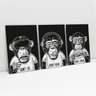 Quadro Três Macacos Sábios Animais Moderno Sala Decorativo - 1
