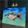 Quadro Pintura Digital de Peixe:120x80 cm/BRANCA - 1