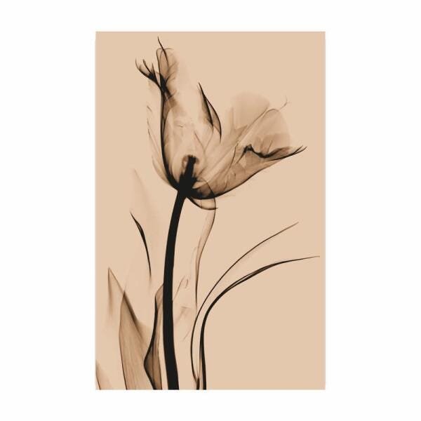 Quadro Flor Em Raio X Vertical Para Decoração Corredor Sala - 3